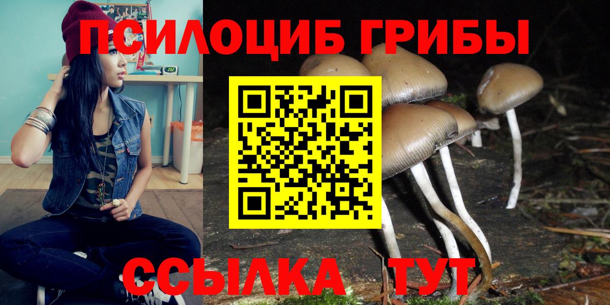 Псилоцибиновые грибы прущие грибы Луга